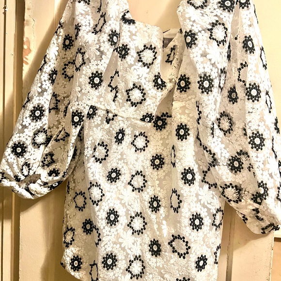 ASOS EDITION mini dress embroidered organza with blouson sleeve NWOT Sz 14 - Picture 2 of 7
